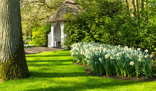 Daffodils in Dutch public Spring flower Garden Keukenhof Lisse, Zuid Holland, NLD
