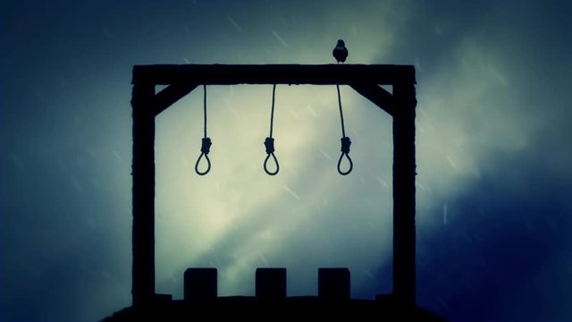 The Gallows Ready for an Execution with a Black Raven in the Rain