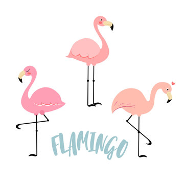 Vector image of a flamingo
