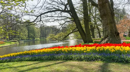 Foto op Canvas Tulips and Daffodils in Dutch public Spring flower Garden Keukenhof Lisse, Zuid Holland, NLD © Laurens