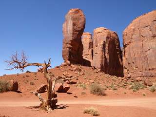 Pano