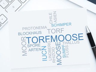Torfmoose
