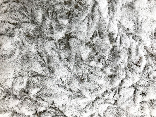 Bird traces of feet in the snow.