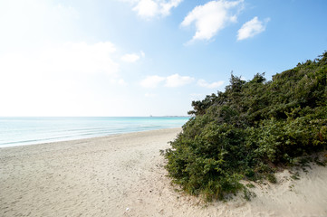 Porto Cesareo, Le Dune