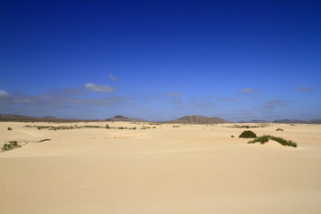 Fototapeta na wymiar Dunes of Corralejo, Fuerteventura