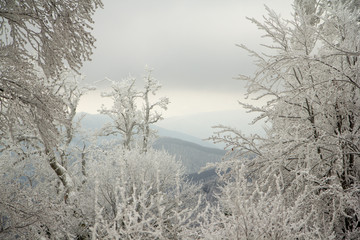 Winter in Carpathian montains