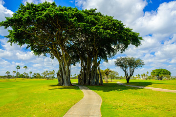 Beautiful golf course