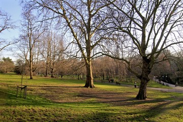 Winter landscape - London - Hyde Park