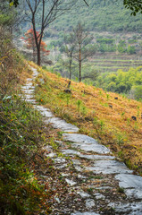 The countryside road scenery 