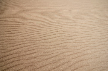Sand Ripples