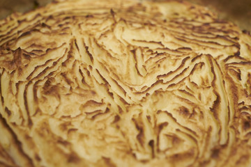 A close up of a mashed potato toasted topping