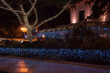 the lights on the tree canopy and in oriental style in high quality