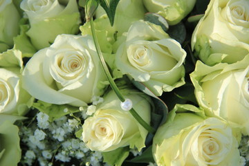 Big white wedding roses