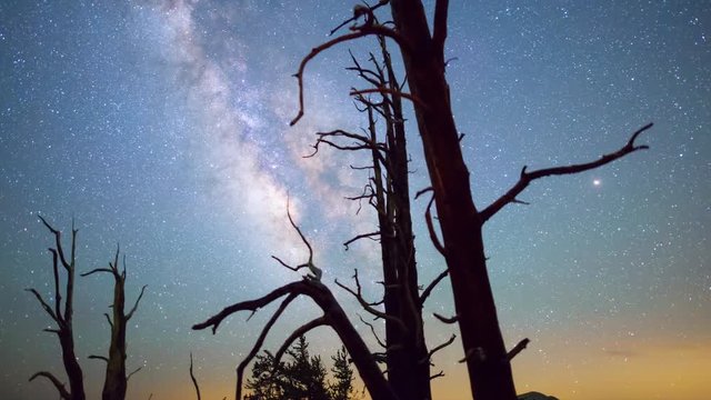 MoCo Astro Timelapse of Milky Way & Bristlecone Pine Tree Silhouette -Zoom In-