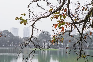 eagle foliage, fall, at Turtle Tower, Hoan Kiem Lake, the center Ha Noi, Vietnam
