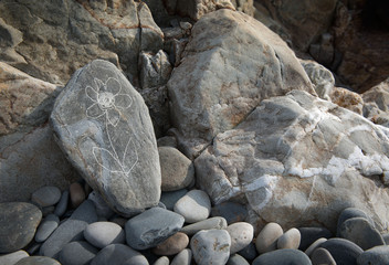 flower illustration scrached into a stone on the beach