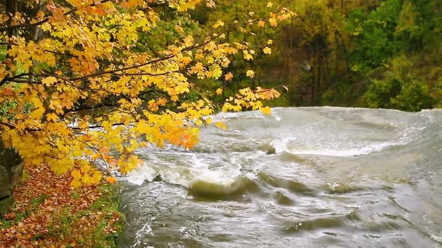 Looping video features Brandywine Creek disappearing over a large waterfall with colorful fall leaves above. Cuyahoga Valley National Park, Ohio.