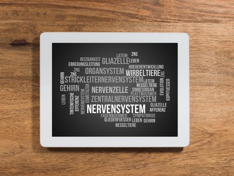Nervensystem