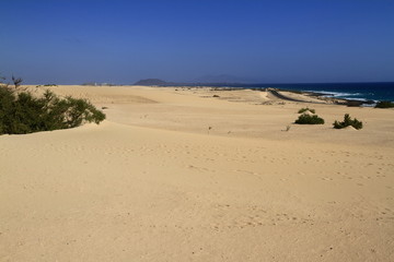 Dunes of Corralejo, Fuerteventura