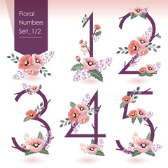 Obraz premium Vector illustration of floral numbers collection. A set of beautiful flowers and numbers for wedding invitations and birthday cards 