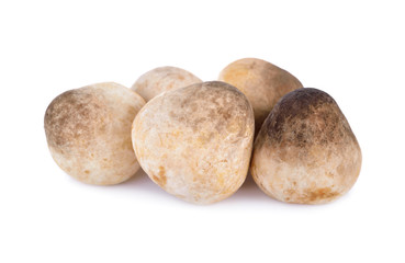 raw mushroom on a white background
