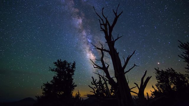 Astro Timelapse of Milky Way over Dead Tree Silhouette 