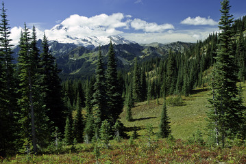 Mount Rainier from Naches Trail