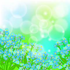 Obraz premium Card with forget me not flowers on sun light