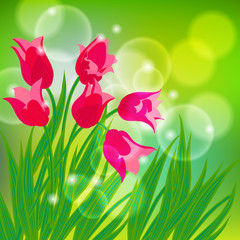 Vector card with red tulips on light green bokeh