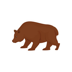 Stock market bear icon vector illustration graphic design