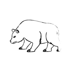 Stock market bear icon vector illustration graphic design