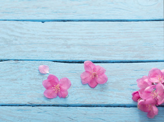 apple flowers on wooden background