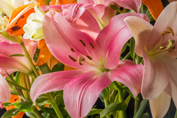 A close up of a bouquet of flowers.