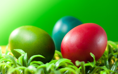 Easter egg decorating the bright day. can you use for greeting card