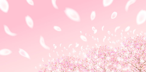 桜　春　花　背景