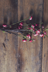 Japanese flowers on rustic table
