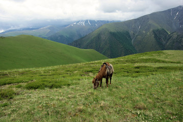 Fototapeta na wymiar Altay