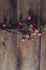 Japanese flowers on rustic table