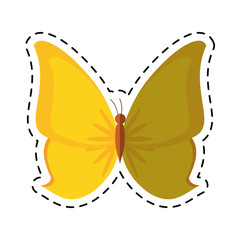 cartoon butterfly animal insect fly vector illustration eps 10