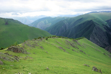 Naklejka premium Altay