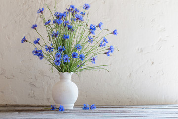 Beautiful blue cornflowers in vase