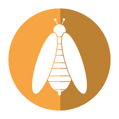 bee honey insect insect shadow vector illustration eps 10
