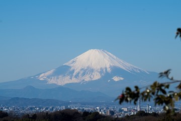 light blue sky and Mt.fuji
