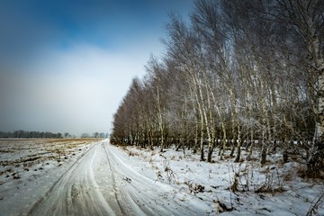 Polish typical winter rural landscape