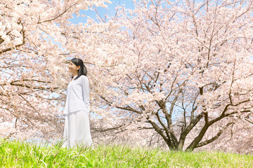 女性　桜