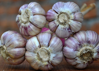 Coupling heads of garlic