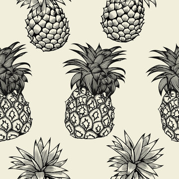 pineapples hand drawn sketch.