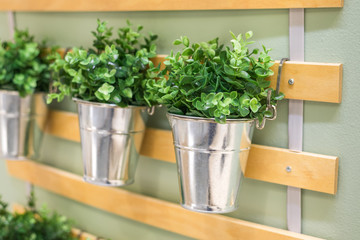 Flower in a pot on a wooden wall, home decorative