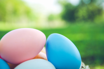Easter eggs in grass against blurred green background. Spring holidays concept