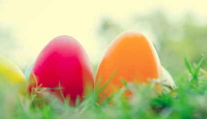 Fototapeta na wymiar Easter eggs on green grass. Spring holidays concept